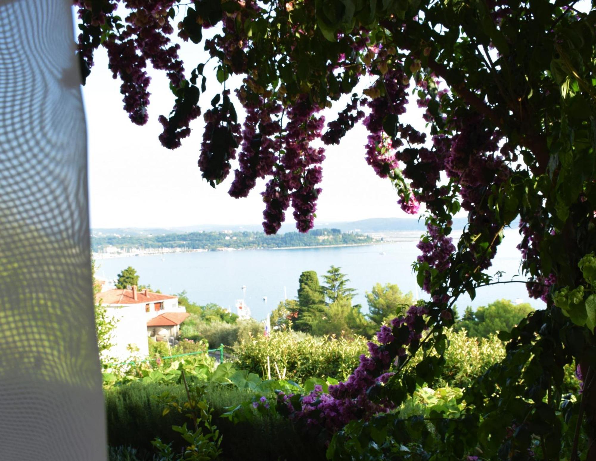 Apartments Fink Portoroz Exterior foto