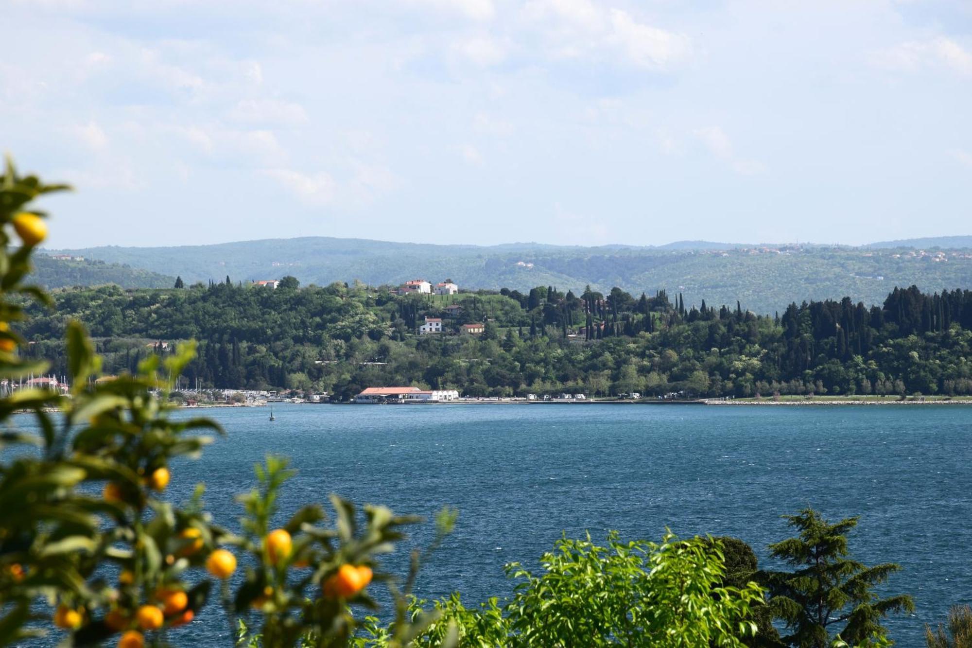 Apartments Fink Portoroz Exterior foto